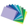 Tru-Ray Tru-Ray 12 x 18 In. Sulphite Acid-Free Non-Toxic Construction Paper; Assorted Cool Color; Pack Of 50 1398063